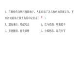 人教版八年级地理下册第六章第三节世界最大的黄土堆积区——黄土高原课后作业课件