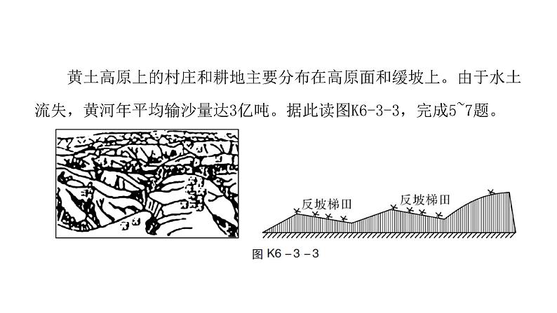 人教版八年级地理下册第六章第三节世界最大的黄土堆积区——黄土高原课后作业课件06