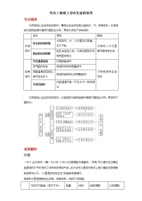 备战2023年地理新中考二轮专题导练  考点2 地球上存在生命的条件