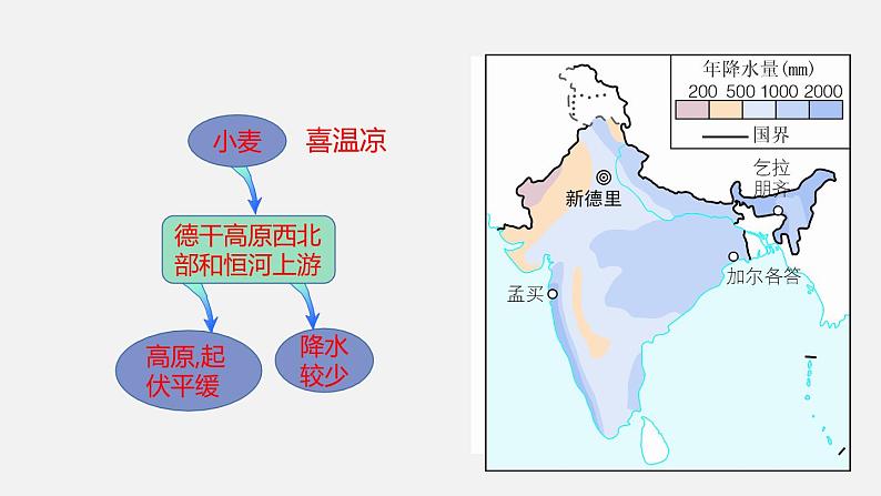 人教版七年级地理下册课件 第七章  第三节  第2课时第8页