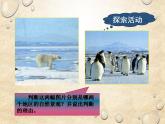 中图版地理八年级下册 第六章 第五节极地地区 课件