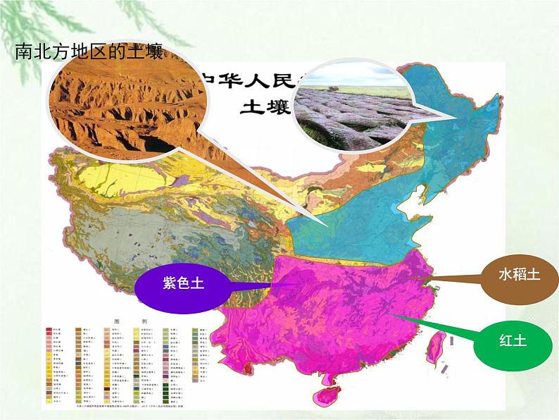 商务星球版地理八年级下册 第七章 活动课 认识南方地区和北方地区的区域差异 课件第5页