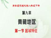 商务星球版地理八年级下册 第九章 青藏地区 第一节 区域特征 课件