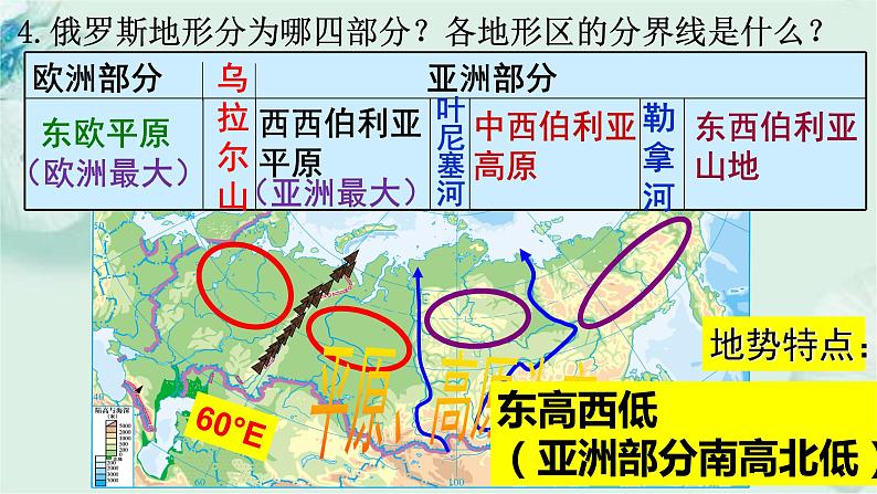 商务星球版地理七年级下册 第八章 不同类型的国家 第二节 俄罗斯 第1课时 课件第8页