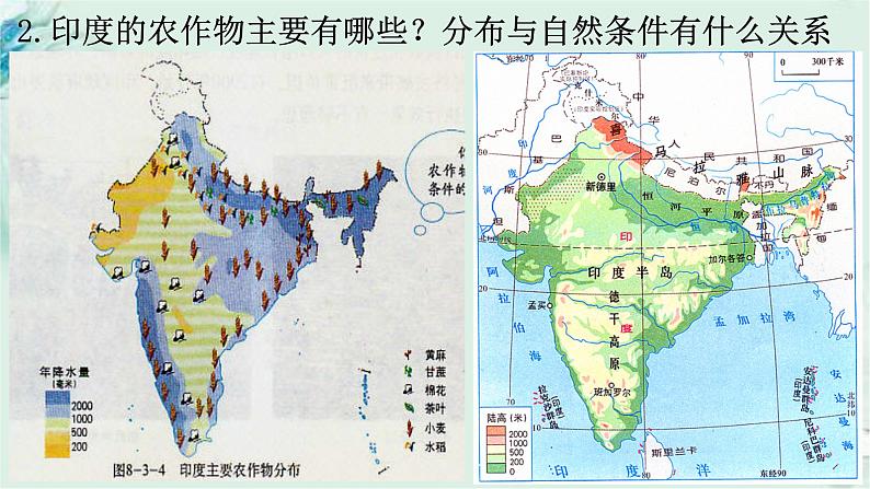商务星球版地理七年级下册 第八章 不同类型的国家 第三节 印度 第2课时 课件08