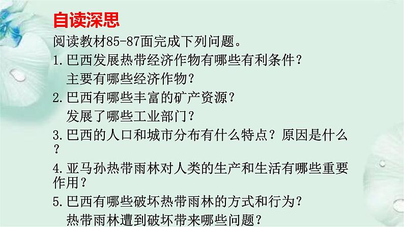 商务星球版地理七年级下册 第八章 不同类型的国家 第五节 巴西 第2课时 课件03