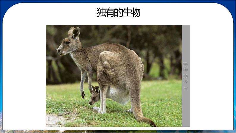 8.4《澳大利亚》课件+教案+学案 人教版（新课标）七年级地理下册07