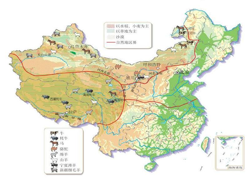 6.3世界最大的黄土堆积区——黄土高原课件08