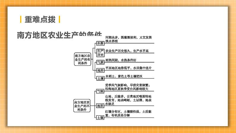 【人教版2023中考地理一轮复习 考点梳理过关练】第22课时 南方地区的自然特征与农业 长江三角洲地区（课件）第8页