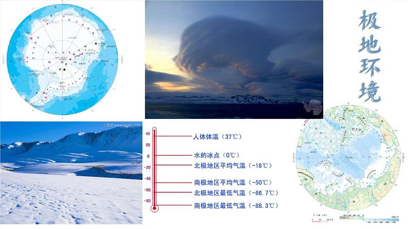 仁爱版地理七年级下册 第九章 第二节 极地科学考察与环境保护 课件第5页