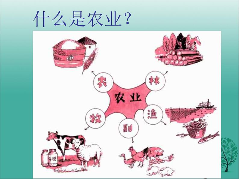 沪教版地理七年级下册 祖国篇（下）1.1世界农业大国 课件07