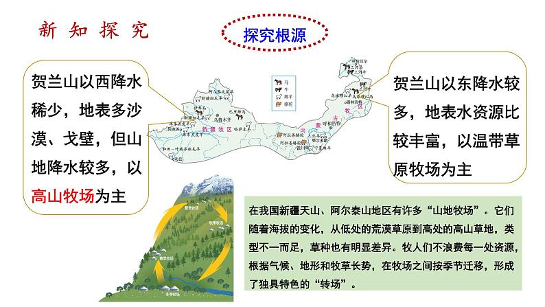 人教版八年级地理下册--8.1.2《自然特征与农业》（课件）第7页