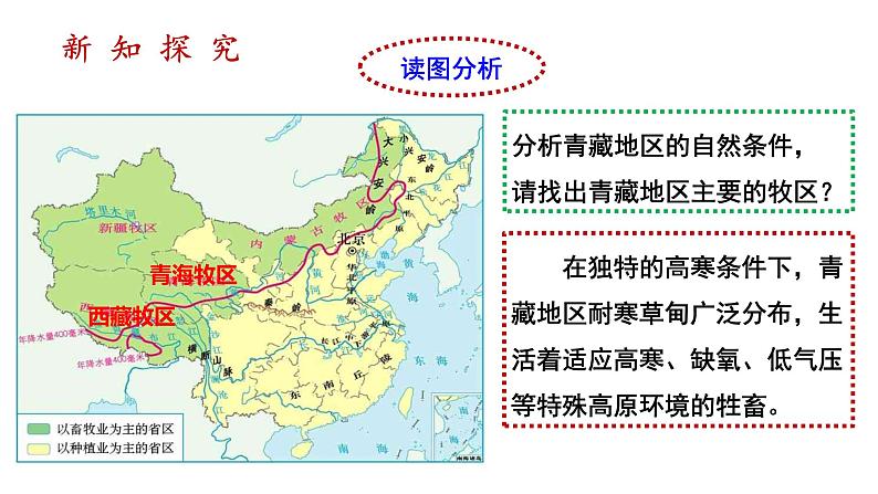 人教版八年级地理下册--9.1.2《自然特征与农业》课件PPT05