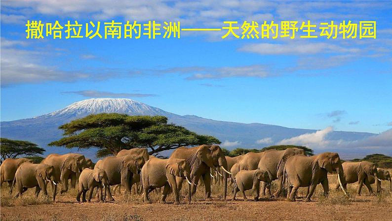 第八章 第三节 撒哈拉以南非洲 课件+教案06