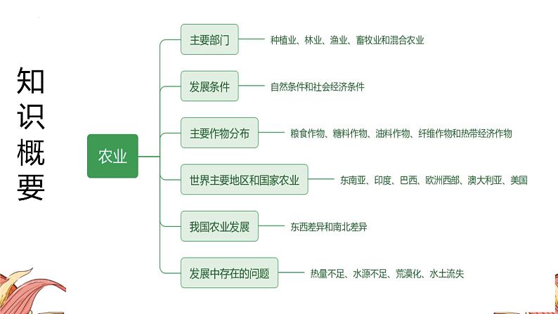 中考人教版地理二轮复习优质课件--专题07 农业第4页