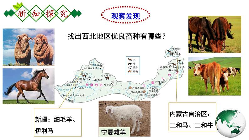 人教版地理八年级下册 8.1.2《自然特征与农业》 课件第8页