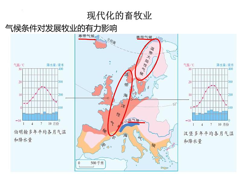 8.2欧洲西部课件人教版地理七年级下册08