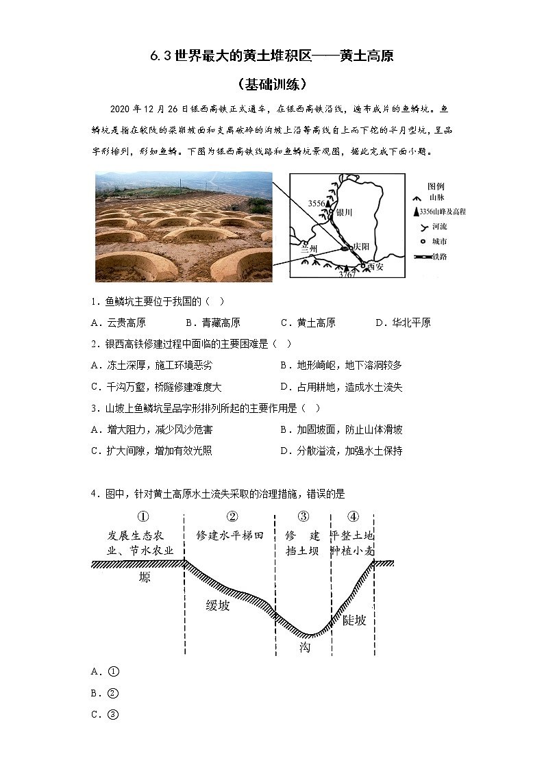 6.3世界最大的黄土堆积区——黄土高原 基础训练+2022-2023学年人教版地理八年级下册第1页