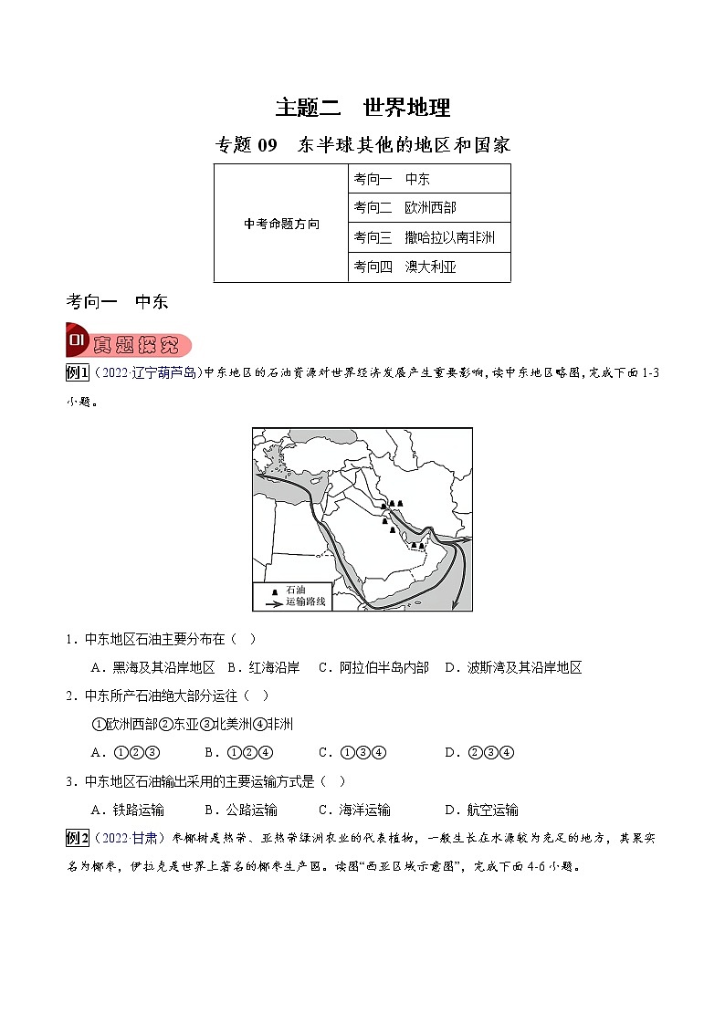 专题09 东半球其他的地区和国家-中考地理总复习真题探究与变式训练（全国通用）01