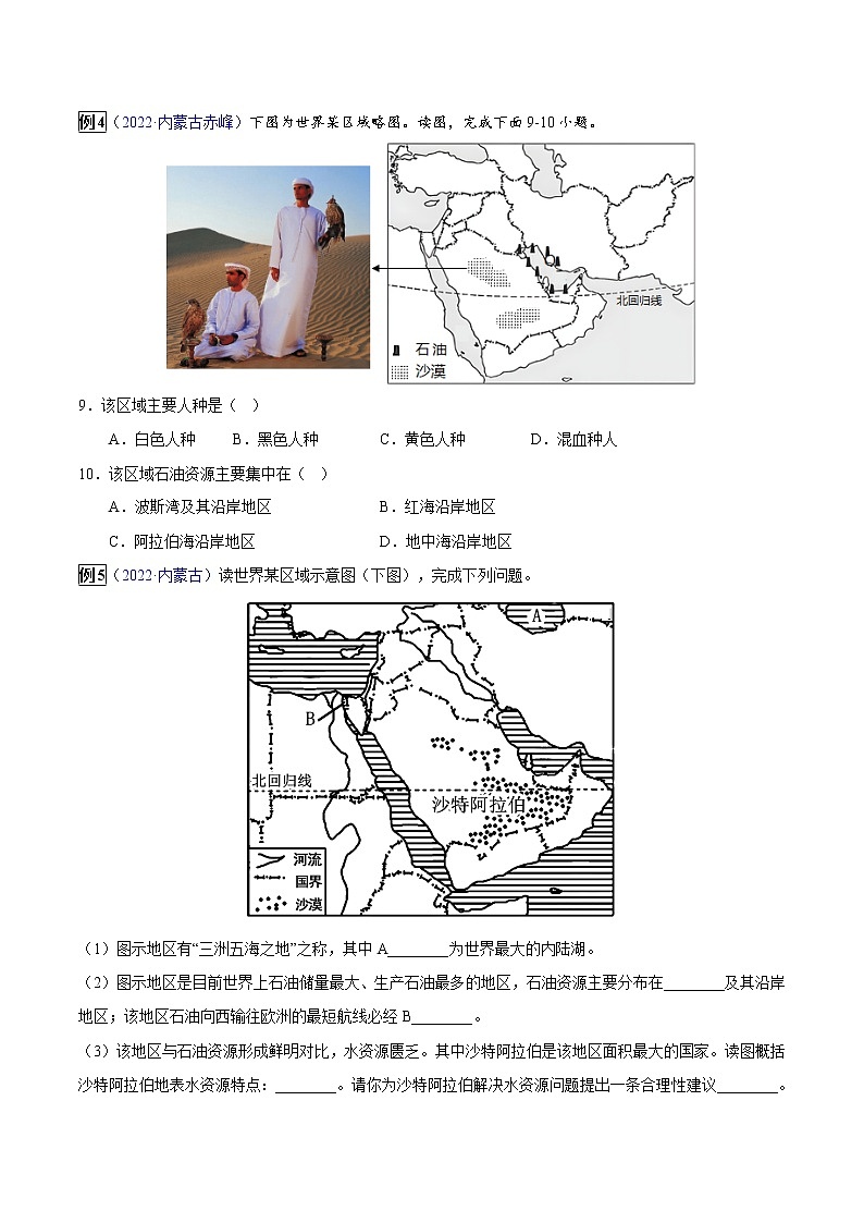 专题09 东半球其他的地区和国家-中考地理总复习真题探究与变式训练（全国通用）03