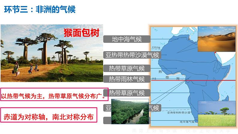 8.3撒哈拉以南的非洲课件PPT第8页