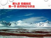 人教版八年级下册地理课件 9.1自然特征与农业
