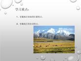 人教版八年级下册地理课件 9.1自然特征与农业