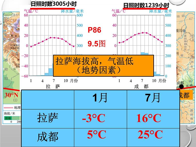 人教版八年级下册地理课件 9.1自然特征与农业08