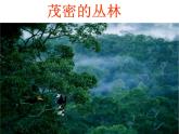 第八章第三节 撒哈拉以南非洲  课件  七年级地理下学期人教版