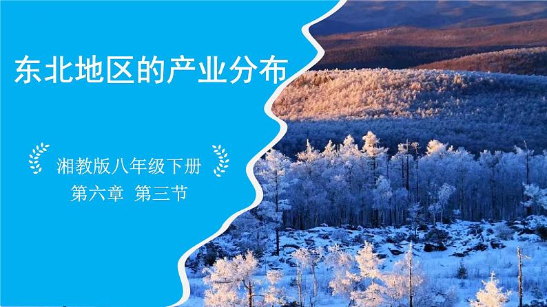 湘教版地理八年级下册 6.3 东北地区的产业分布 课件01