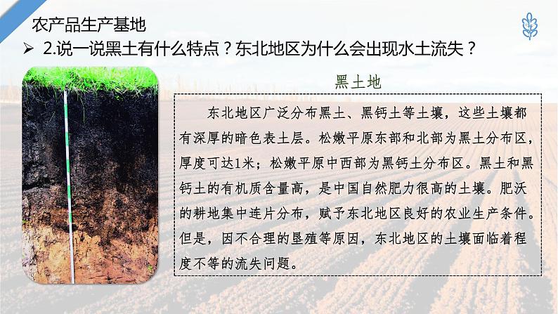 湘教版地理八年级下册 6.3 东北地区的产业分布 课件07