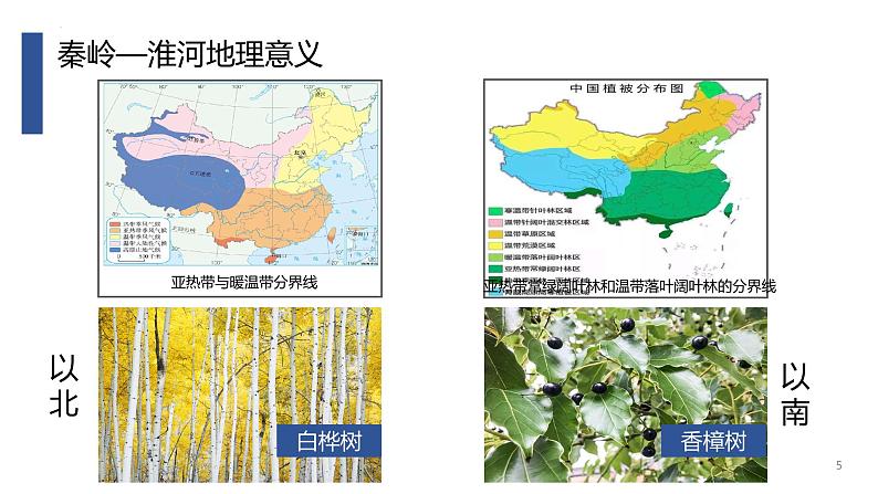 湘教版地理八年级下册 5.1四大地理区域 课件第5页