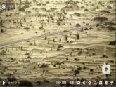 湘教版地理八年级下册 5.3西北地区 课件