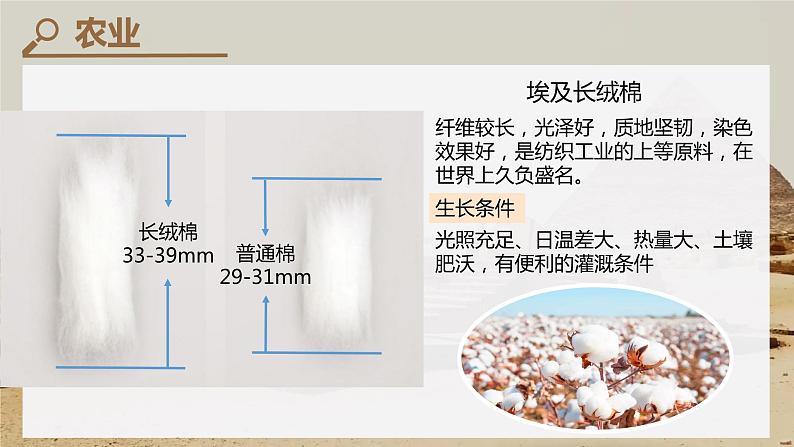 地理湘教版七年级下册-《埃及》第二课时课件第5页