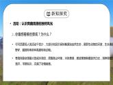 人教版八年级地理下册第五单元《青藏地区-自然特征与农业2》PPT课件