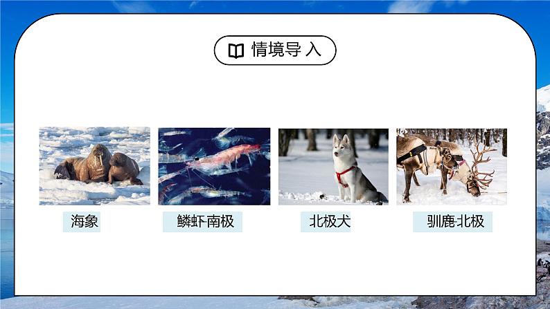 人教版七年级地理下册第四单元《西半球的国家-极地地区1》PPT课件第6页