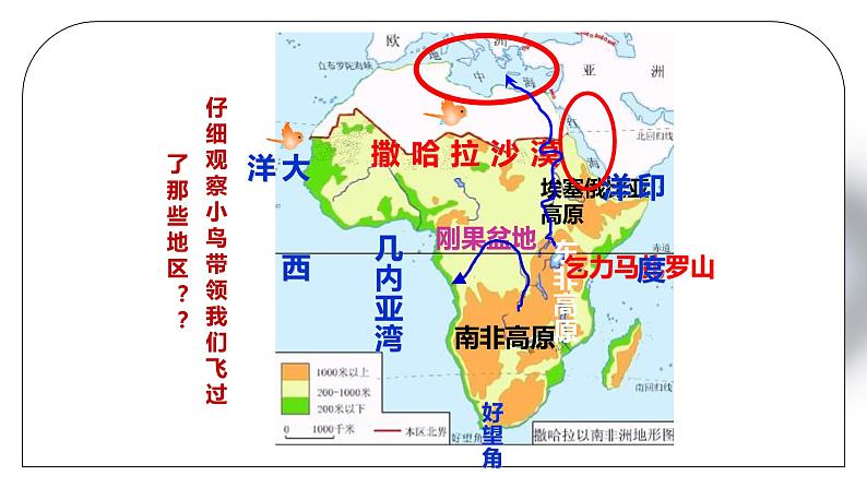 人教版七年级地理下册第六单元《七年级地理下册总复习2》PPT课件07