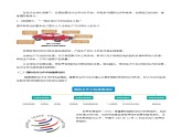 5.2 国际经济合作（教案）-七年级地理上册同步优质课件（湘教版）