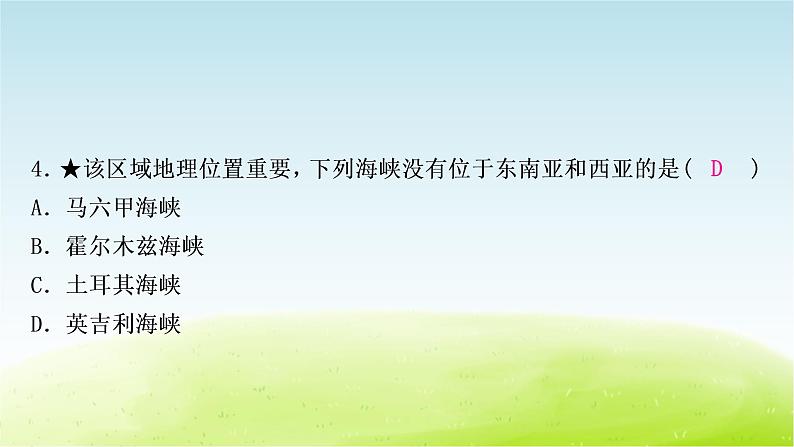 湘教版中考地理复习第一节东南亚第二节南亚第三节西亚作业课件第7页