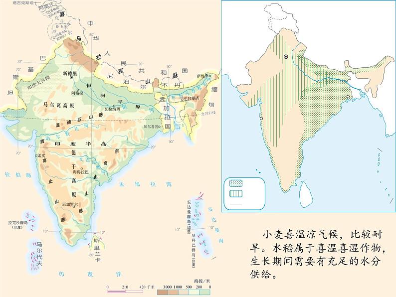 人教版初中地理七年级下册 第三节　印度    课件第6页