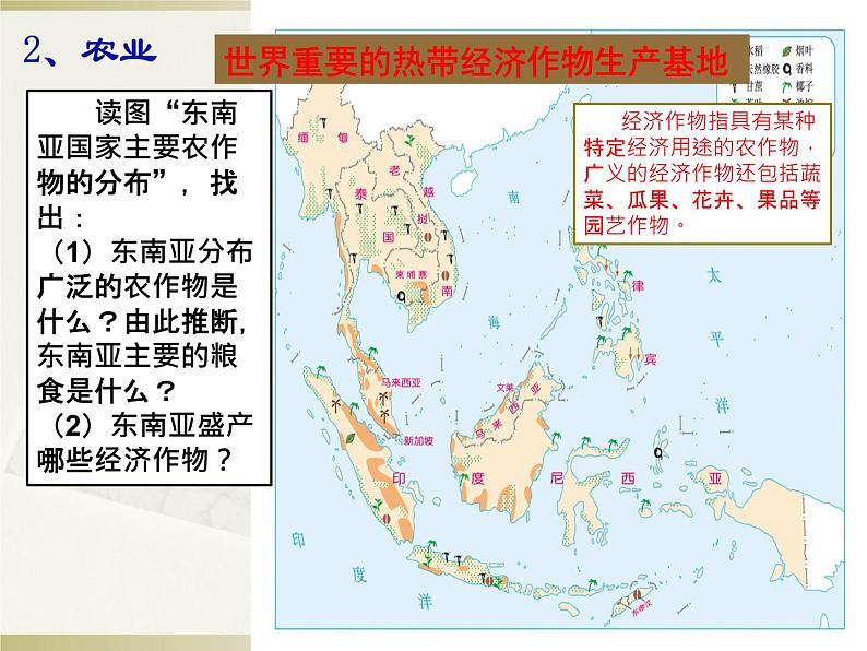 人教版初中地理七年级下册 第三节　印度    课件第8页