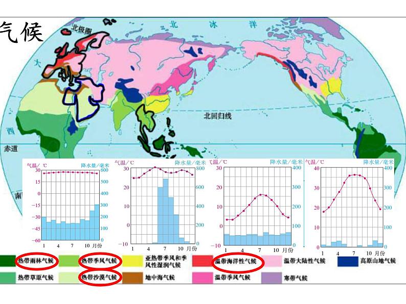 人教版初中地理七年级下册 第三节　印度    课件第7页