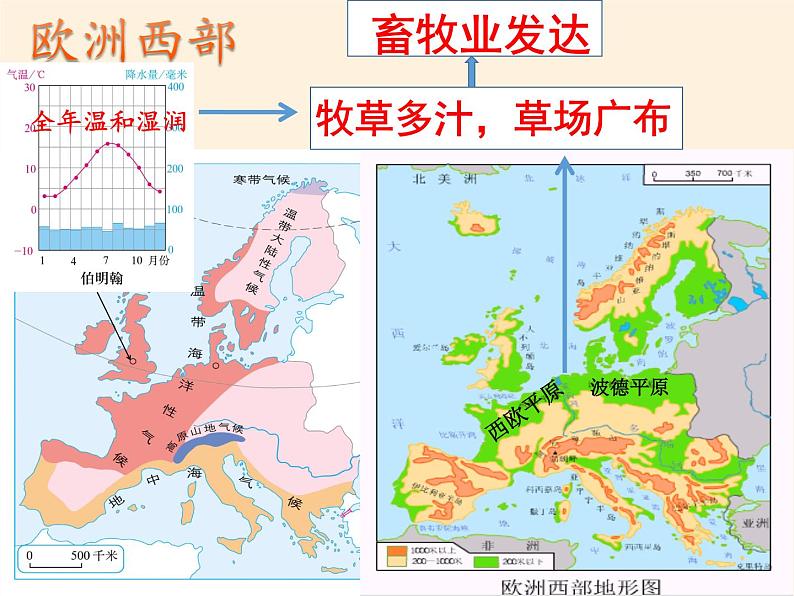 人教版初中地理七年级下册 第三节　印度    课件第8页