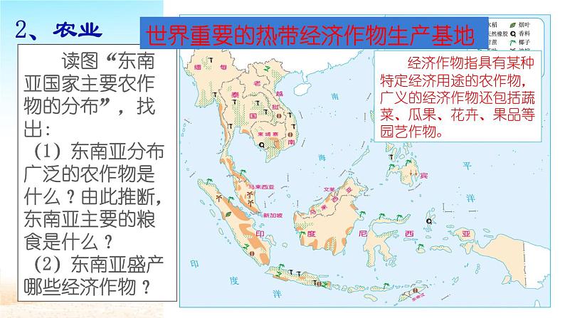 人教版初中地理七年级下册 第三节　印度    课件第8页