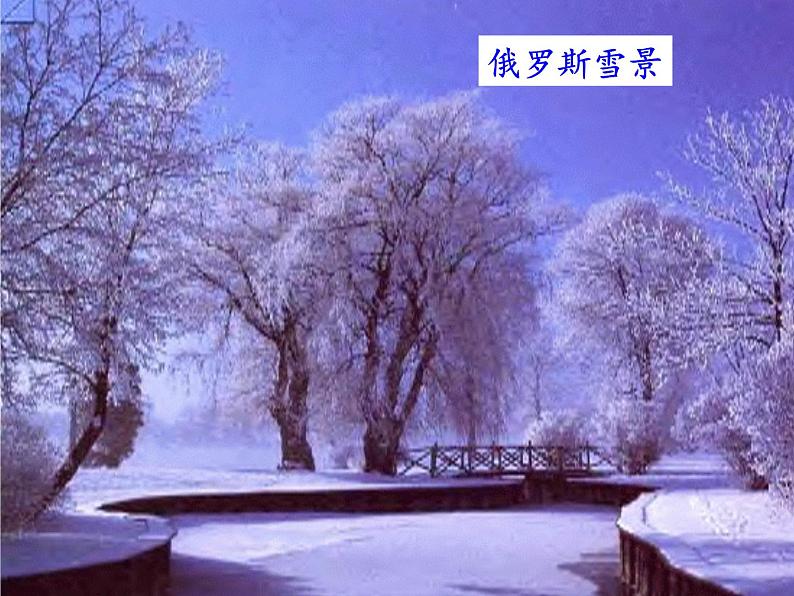 人教版初中地理七年级下册 第四节　俄罗斯   课件第4页