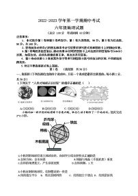 山东省东营市广饶县广饶县4月四校联考2022-2023学年六年级下学期4月月考地理