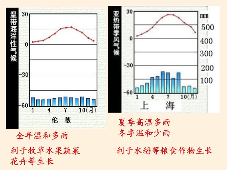 人教版初中地理七年级下册 第二节  欧洲西部   课件第7页