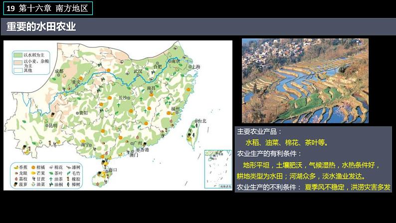 中考地理一轮复习精品课件8.7 南方地区 (含答案)第8页