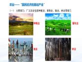 中考地理一轮复习课件专题22 中国的主要产业：农业(含答案)