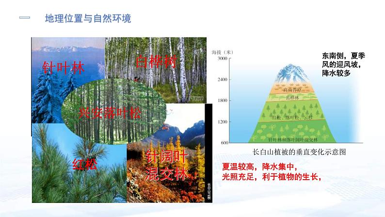 中考地理一轮复习课件专题27 认识区域—位置与分布(含答案)07